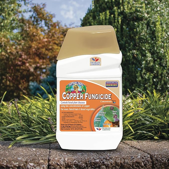 Bonide Captain Jack Copper Fungicide 16 oz Concentrated Plant Disease Control Solution for Organic Gardening,(Pack of 6)