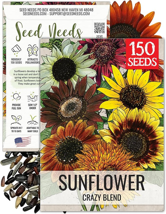 Seed Needs Crazy Sunflower Seeds for Planting Multicolor Sunflowers - Heirloom & Open Pollinated Flowers to Grow a Beautiful Outdoor Butterfly Garden (1 Pack)