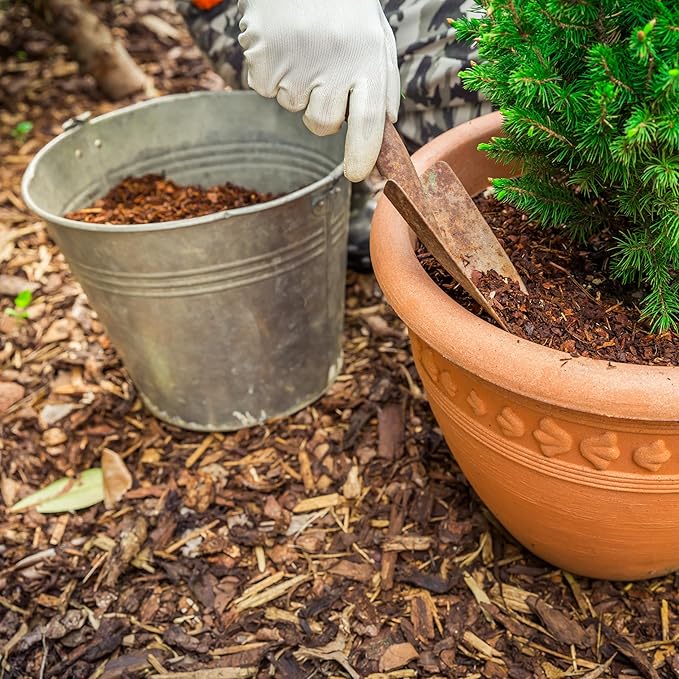 GARDENWISE Premium Eucalyptus Wood Mulch for Indoor, Patio, Potting Media, Gardens, Lawns, and Landscaping (1.3 CF - 37 L - 39 QTS)
