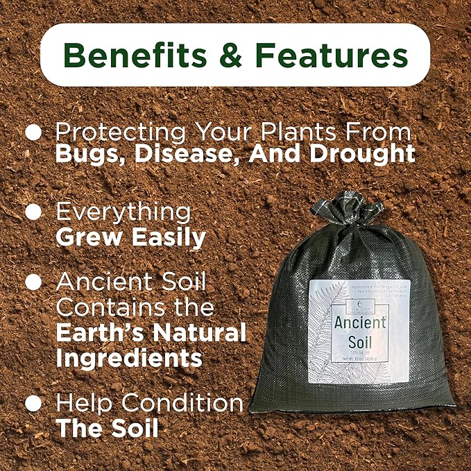 Elm Dirt Premium Ancient Soil - Organic Plant Soil for Outdoor & Indoor Plants | 25lbs