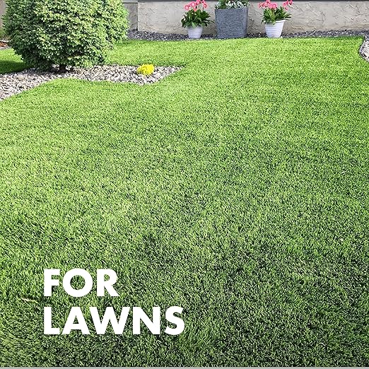 Spectracide Immunox Fungus Plus Insect Control For Lawns 32 Ounces, Dual Action, Hose-End Concentrate